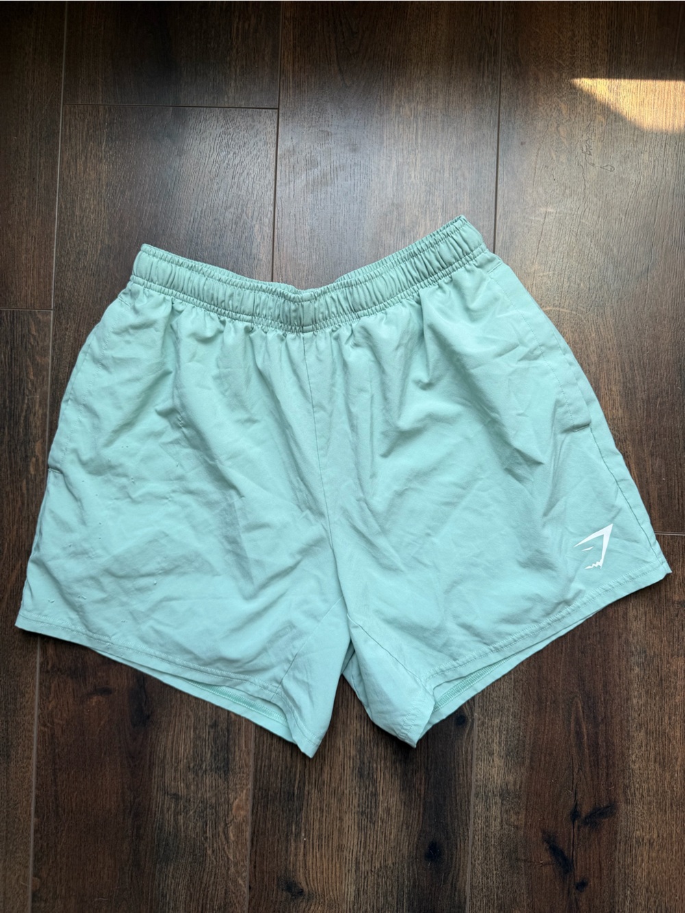 Gymshark Light Teal mens Athletic Shorts